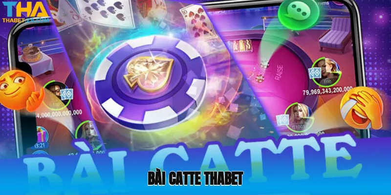 bai catte thabet 1